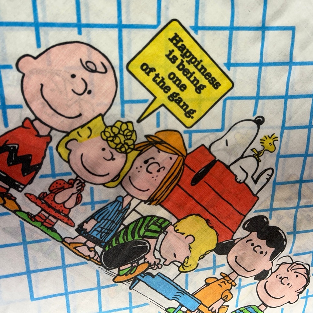 70s Charlie Brown Peanuts Snoopy Schulz One Of The Gang Twin Bedding Set Vintage - Picture 3 of 7